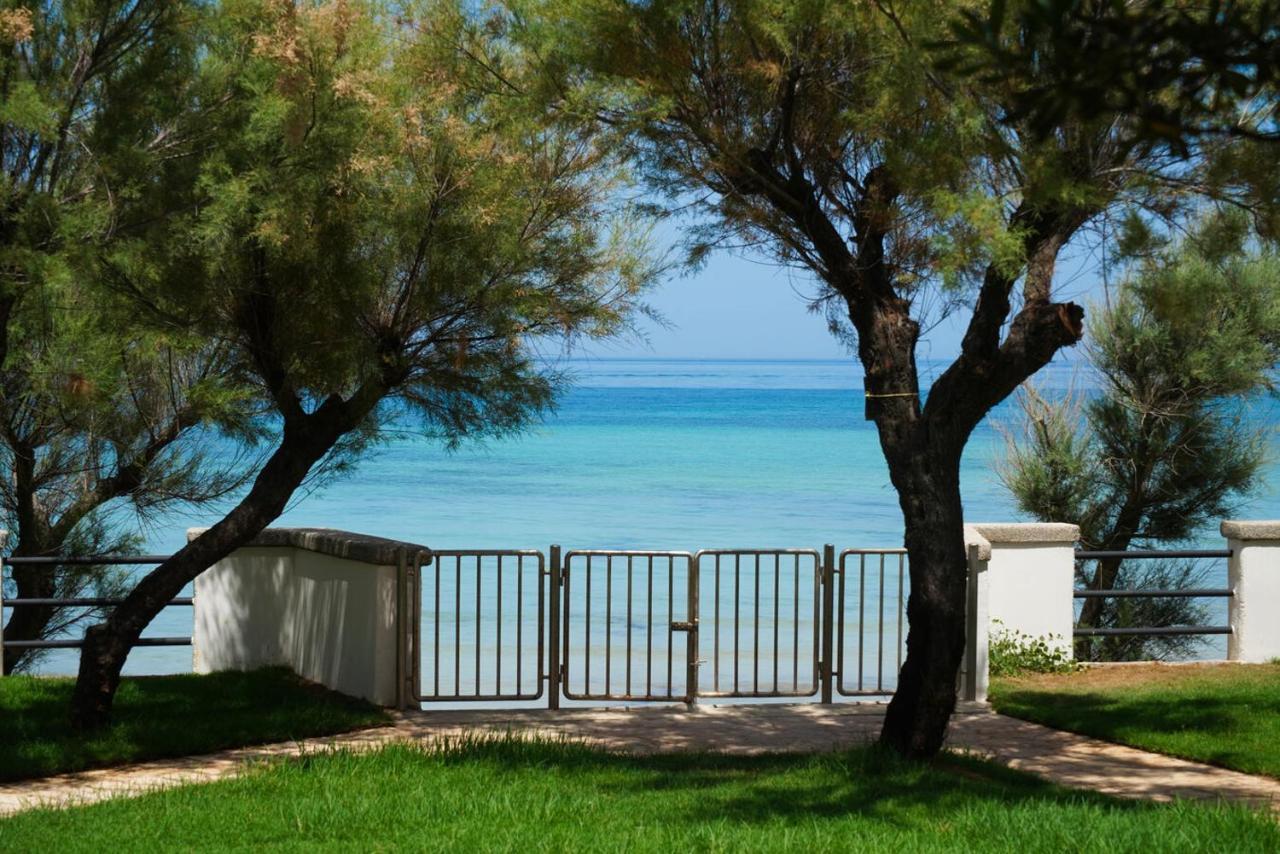 Aurelia Sea View Bed & Breakfast Torre Canne Exterior foto