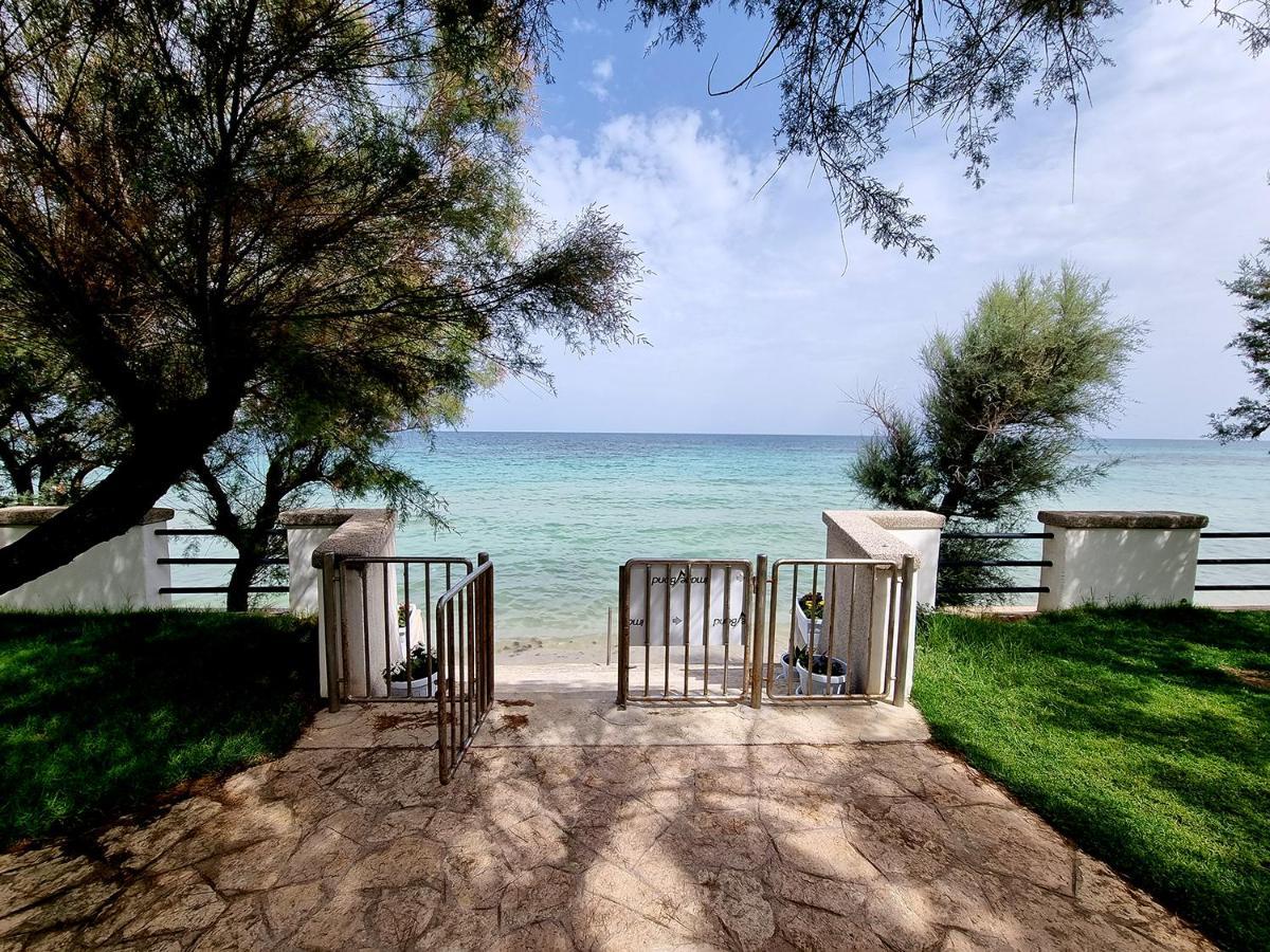 Aurelia Sea View Bed & Breakfast Torre Canne Exterior foto